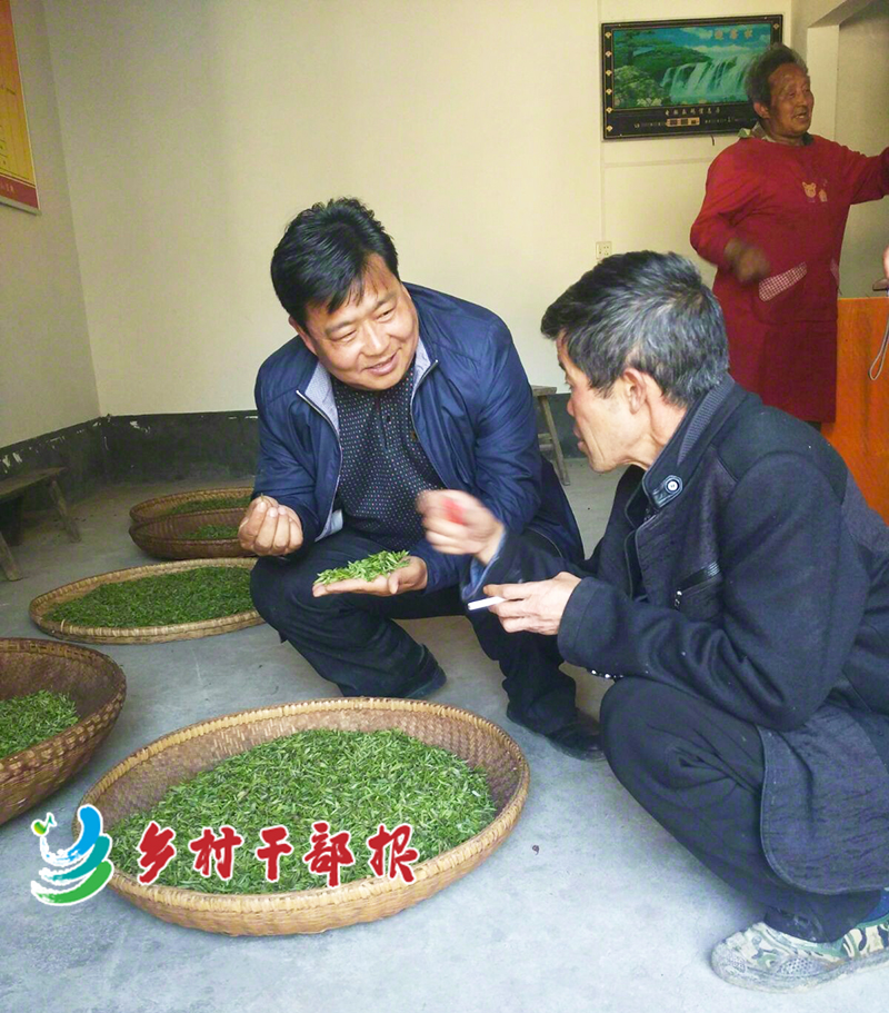 辛華（左）在種植戶(hù)家中查看茶葉品質(zhì)2.jpg